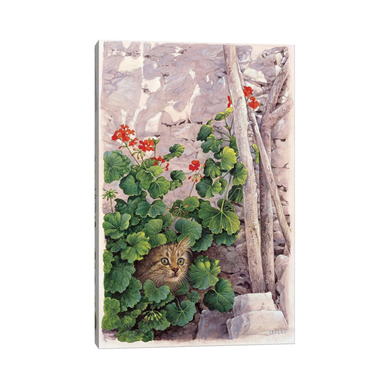 Katia Greek Cat in Geraniums 1 Piece Wrapped Canvas Painting, 20.32 cm H x 30.48 cm W