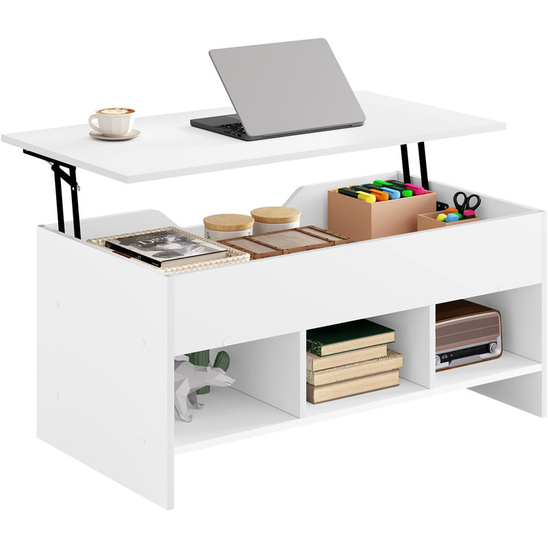 Ordhan Lift Top Double Pedestal Coffee Table with Storage