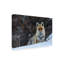 Art sur toile renard bolich, Jure Jauregui-109226775