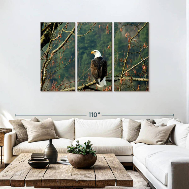 Brampt Perched Canadian Bald Eagle, 48" H x 74" W