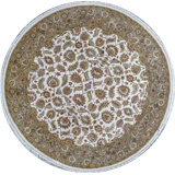Wool Oriental Area Rug in Ivory/Light Green