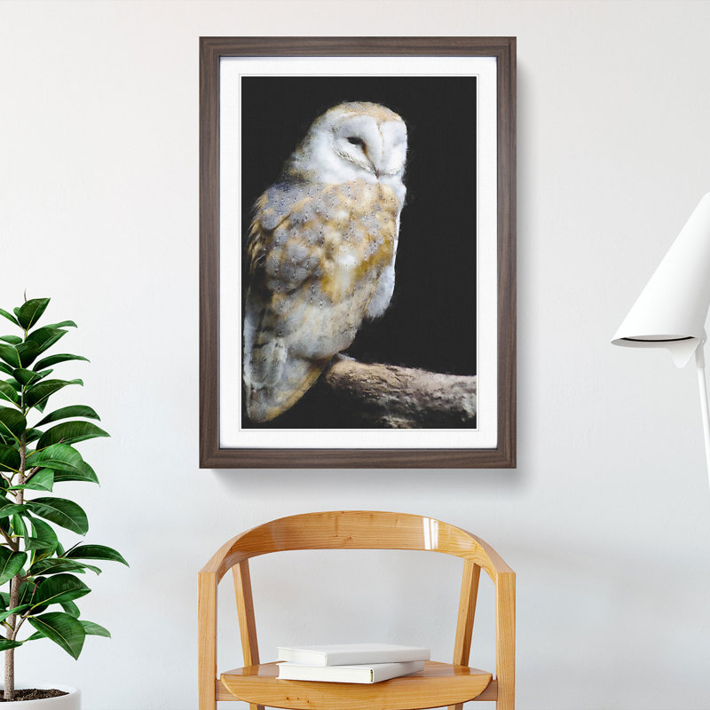 Barn Owl Vol.3 - Picture Frame Painting, Walnut Framed, 48cm H x 36cm W x 2cm D