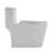 ADA Compliant One-Piece Elongated Toilet 1.6/1.1 GPF Dual Flush12-Inch Rough-In Modern Bathroom Toilet with Soft Close Seat-124555460-124555459