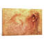 Sketch Of A Roaring Lion by Leonardo Da Vinci - Painting on Canvas-50017881-89235136