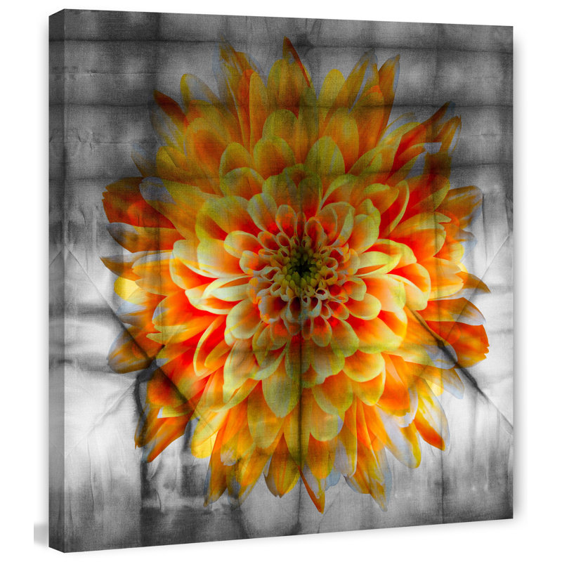 Parvez Taj - Wrapped Canvas Print, 45cm H x 45cm W