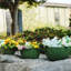Pot de fleurs-1960338774