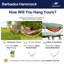 Barbados Double Hammock-28164316-28164320