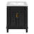 Bathroom Vanity-259189463