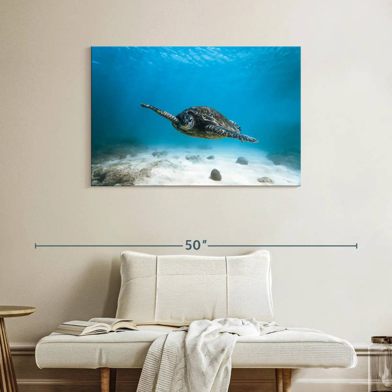 Crowle Blue Turtle, 26" H x 39" W