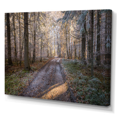 Road Thorugh Winter Forest Trees - reproduction d'art sur toile encadrée
