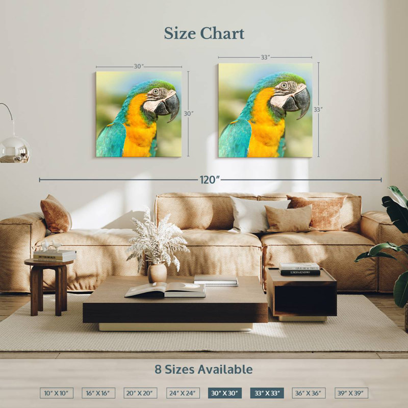 Brampt Parrot, 30" H x 30" W