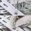 Adaptateur de plafond incliné-113664704