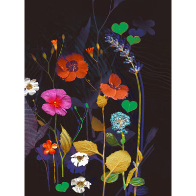 Wildflower Collection 3 Print by Katie Todaro