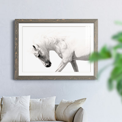 Neutral Stallion - Photographie avec cadre photo