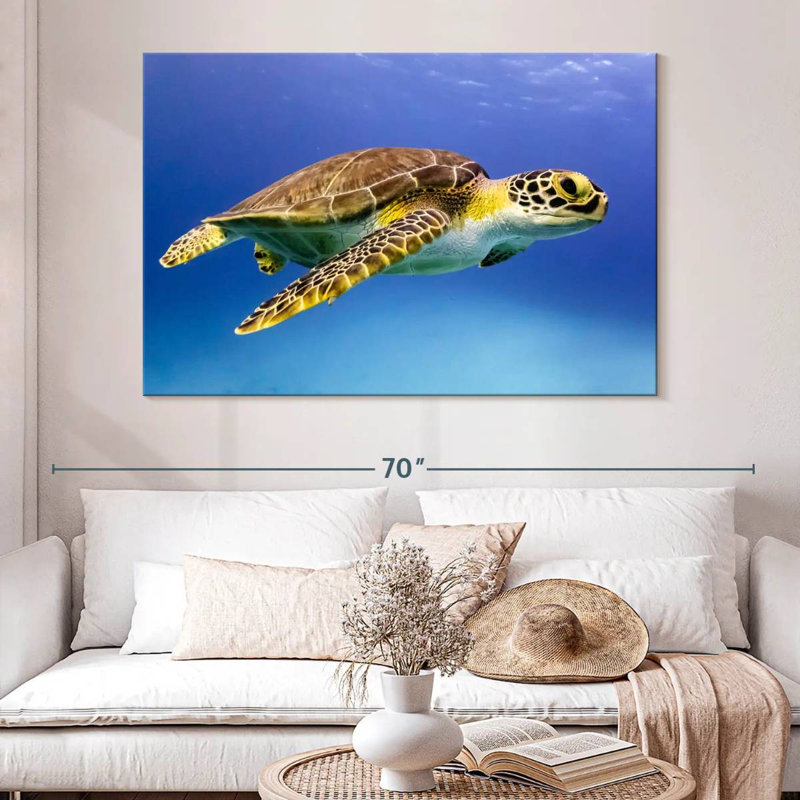 Brampt Young Hawksbill Turtle, 34" H x 51" W