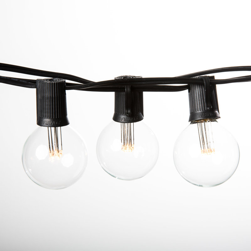 Outdoor 25 - Bulb 25'' Plug-in LED Globe String Light, Black