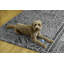 Tapis ivoire et noir Joris-1513616819