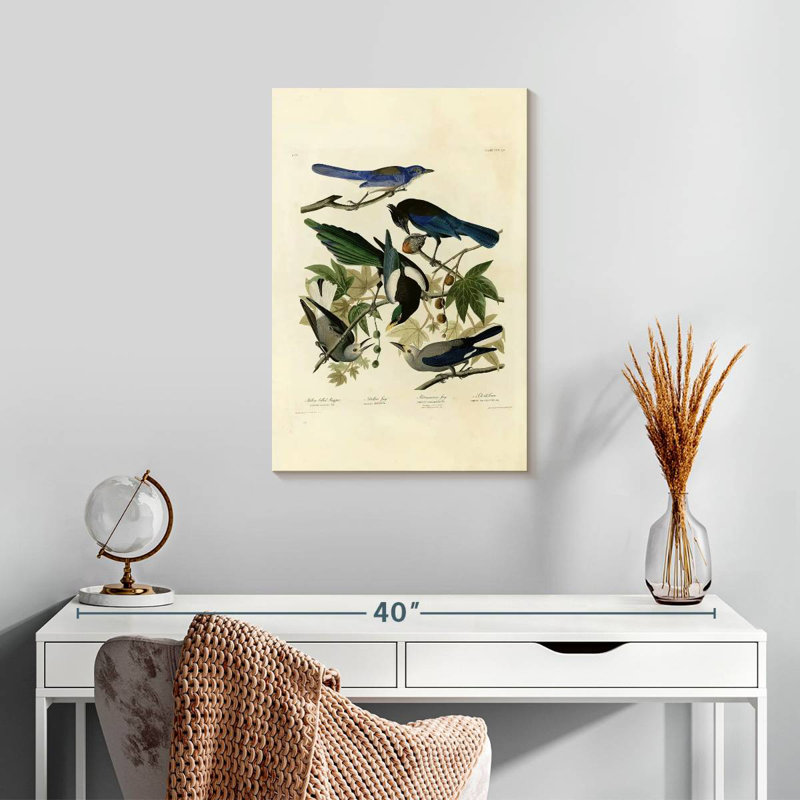 Assiette Brampt 362 d'oiseaux d'Amérique, H 24 po x l 16 po