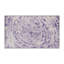 Tapis beige soyeux et moelleux-100862857
