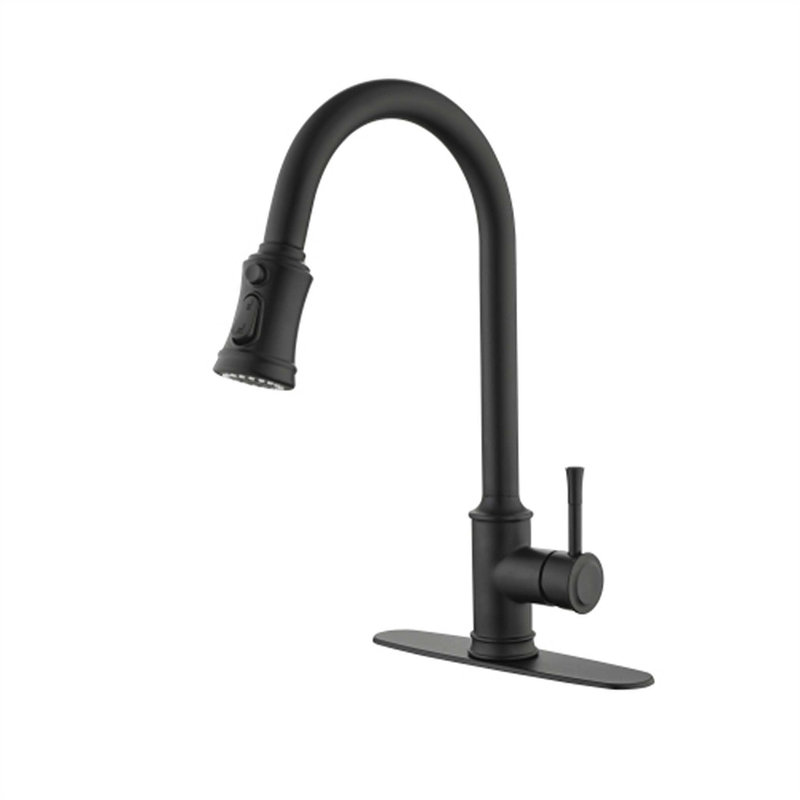 Red Cloud Pull Down Kitchen Faucet