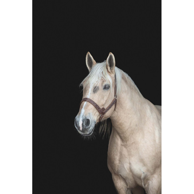 Equine Dream 1 Print, 40" H x 26" W x 2" D