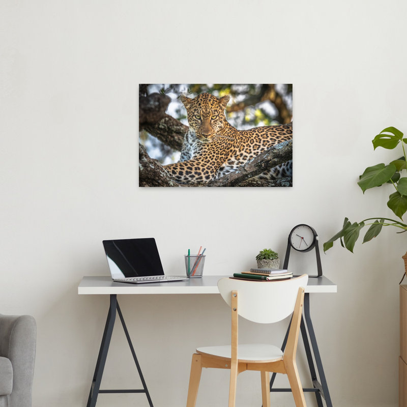 Majestic Tree Leopard Abstract Contemporary Landscape Nature Wall Art Print, 60.96cm H x 91.44cm W