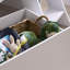 The woodland Explorer bed - White