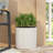 PLANTER-1249366560