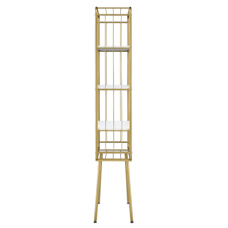 Ladder Bookcase
