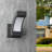 Chauntia LED Wall Light