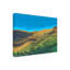 Bolognaise «Golden Hillsides II» sur-98248347