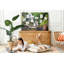 Marianthi Cork Corkboard / Bulletin Board