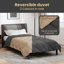 Duvet-1508344526