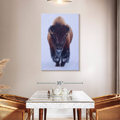 Brampt Bison In Snow