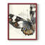 ANIMALS Series CCGLX - Impression encadrée de qualité supérieure - Prêt à être accroché - Aucun clou requis