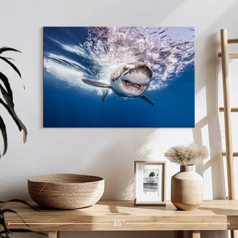 Brampt Happy Shark, 16'' H x 24'' W