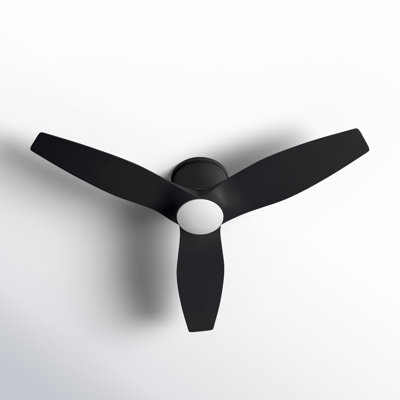 Aisling Ceiling Fan with LED Lights