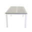 Jayesh Rectangular Extendable Outdoor Dining Table-40631000-40631002