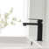 Single-Hole Single-handle Bathroom Faucet with Drain Assembly
