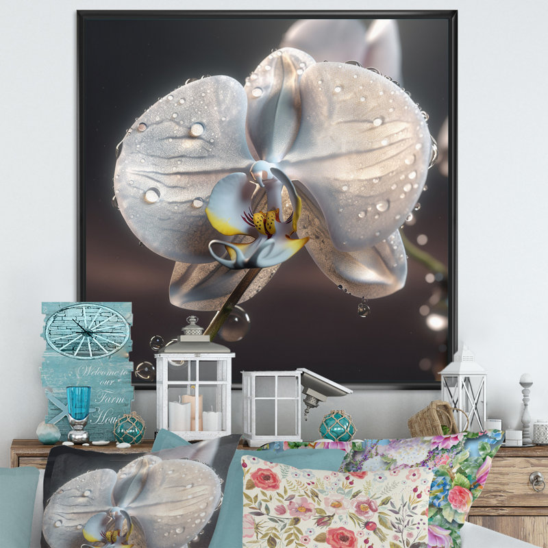 «Morning Dew» sur une orchidée blanche sur toile, H 30 po x l 30 po x P 1 po, Cadre flottant noir
