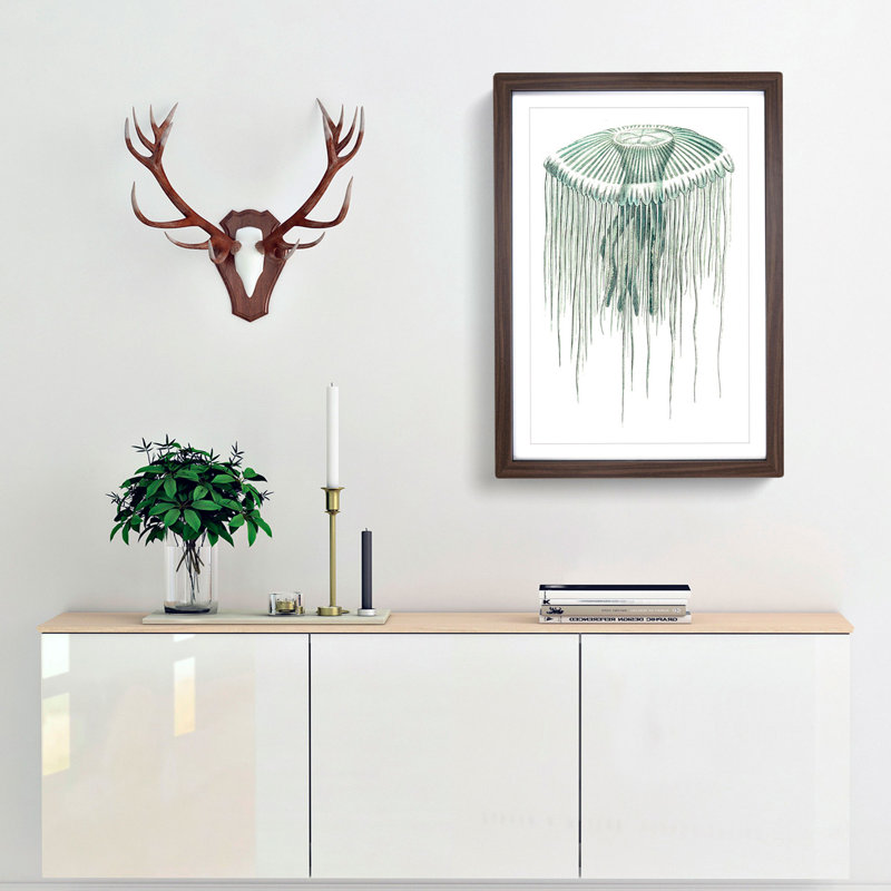 Green Jellyfish by George Shaw - Framed Print, 48cm H x 36cm W x 2cm D, Walnut Framed