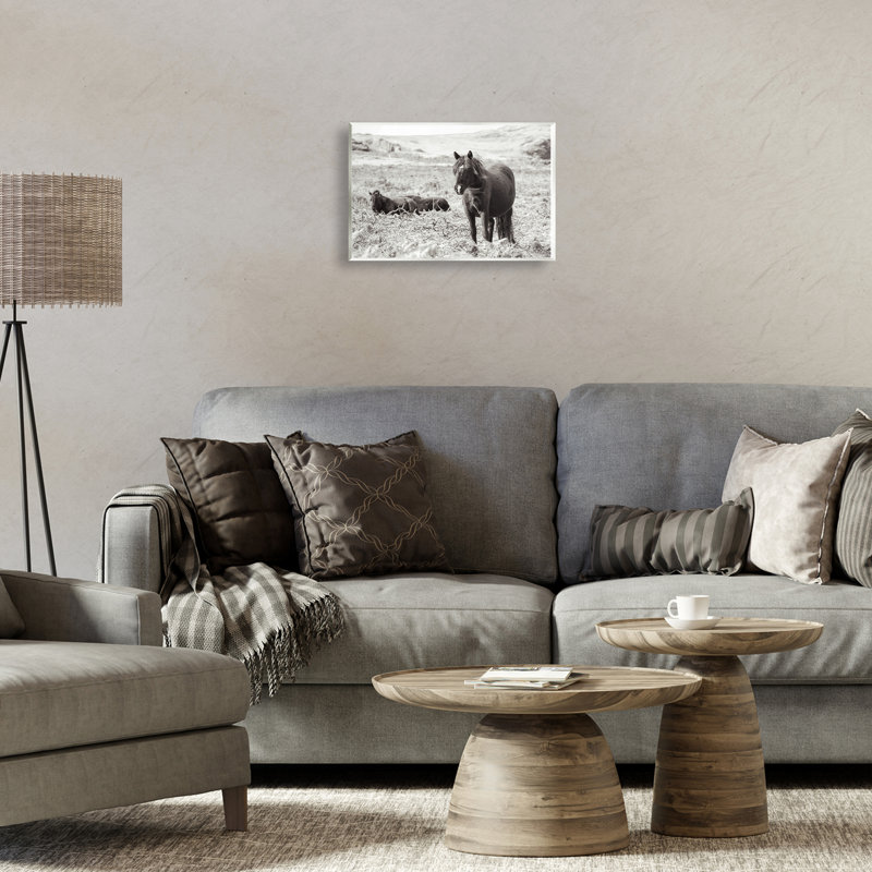 «Dartmoor Pony Lounging», art mural, par Deborah Revell, H 10 po x l 15 po