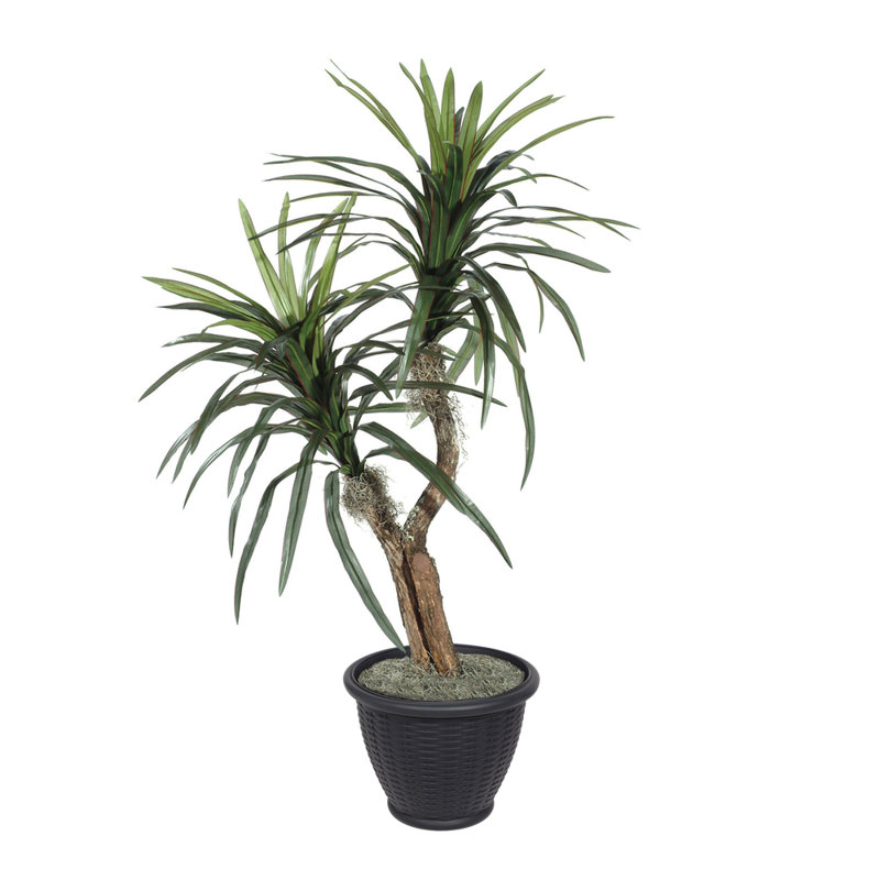 Artificial Marginata Tree, Gray