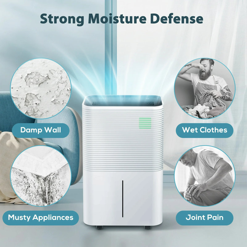 Antarctic Star 45-Pints/Day High Humidity Dehumidifier W/Washable Filter,3 Modes, 24-H Setting, White