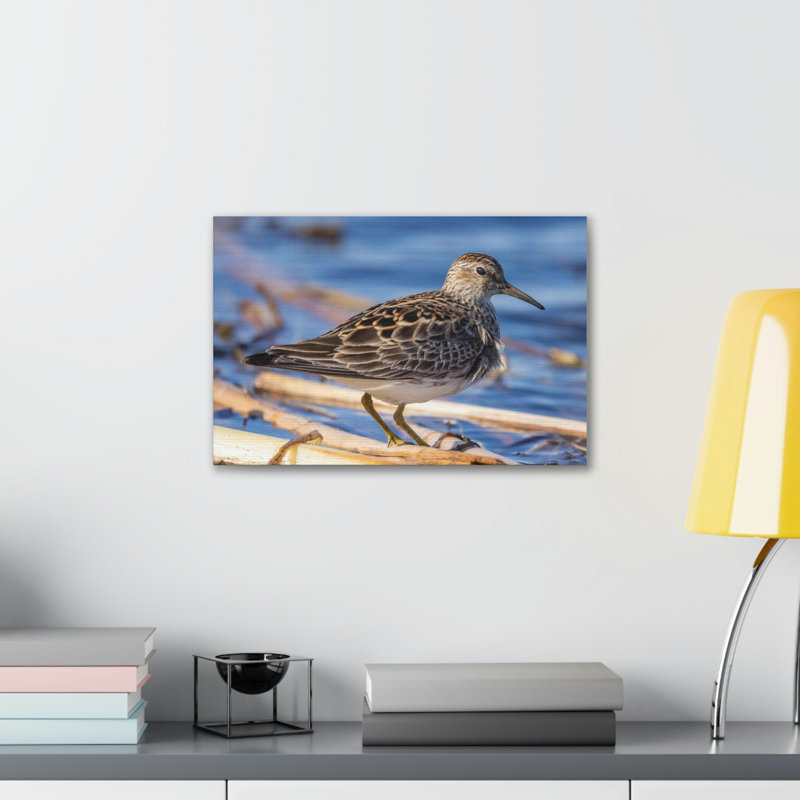 Wall Art on Canvas, 16cm H x 12cm W