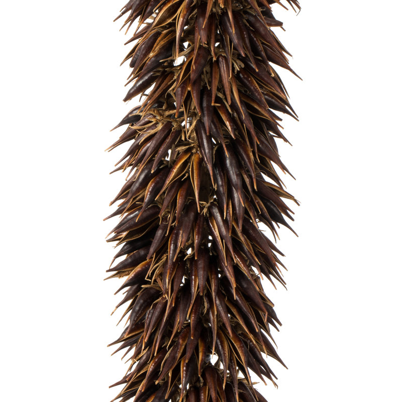 42'' Plant