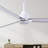 Alessandra 72'' Ceiling Fan-615459998-670286135