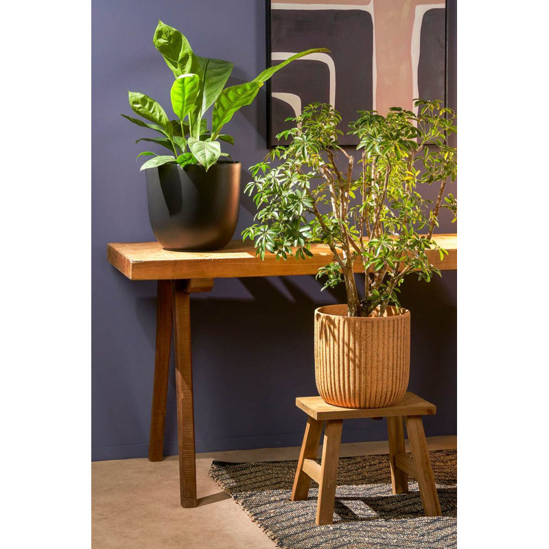 Dante Ceramic Pot Planter, 27cm H x 30cm W x 30cm D, Brown