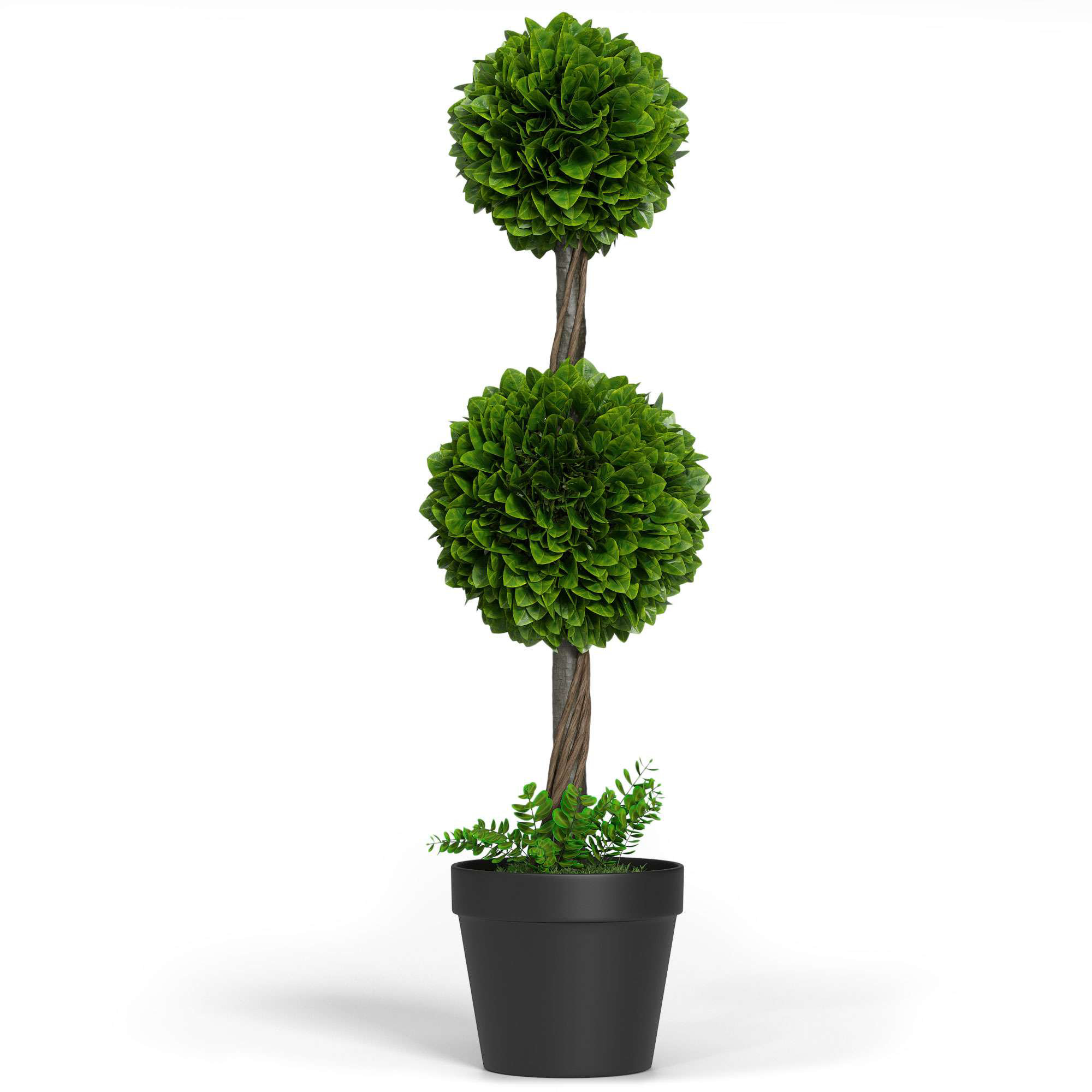 DIY Boxwood Topiary For St Patricks Day Mantle