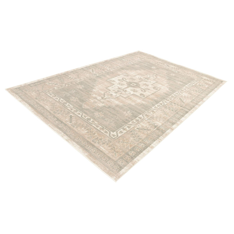 Matthei Oriental Indoor Rug, Rectangle 7' x 10'